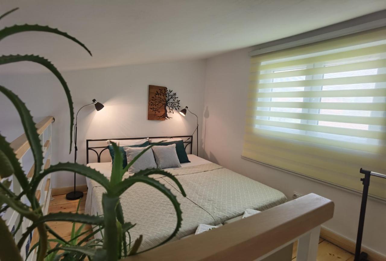 Zona Apartments 2 兹雷尼亚宁 外观 照片